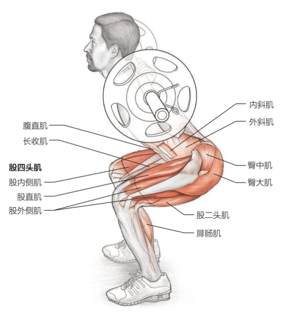 为什么优化篮球训练场地布局很重要_2